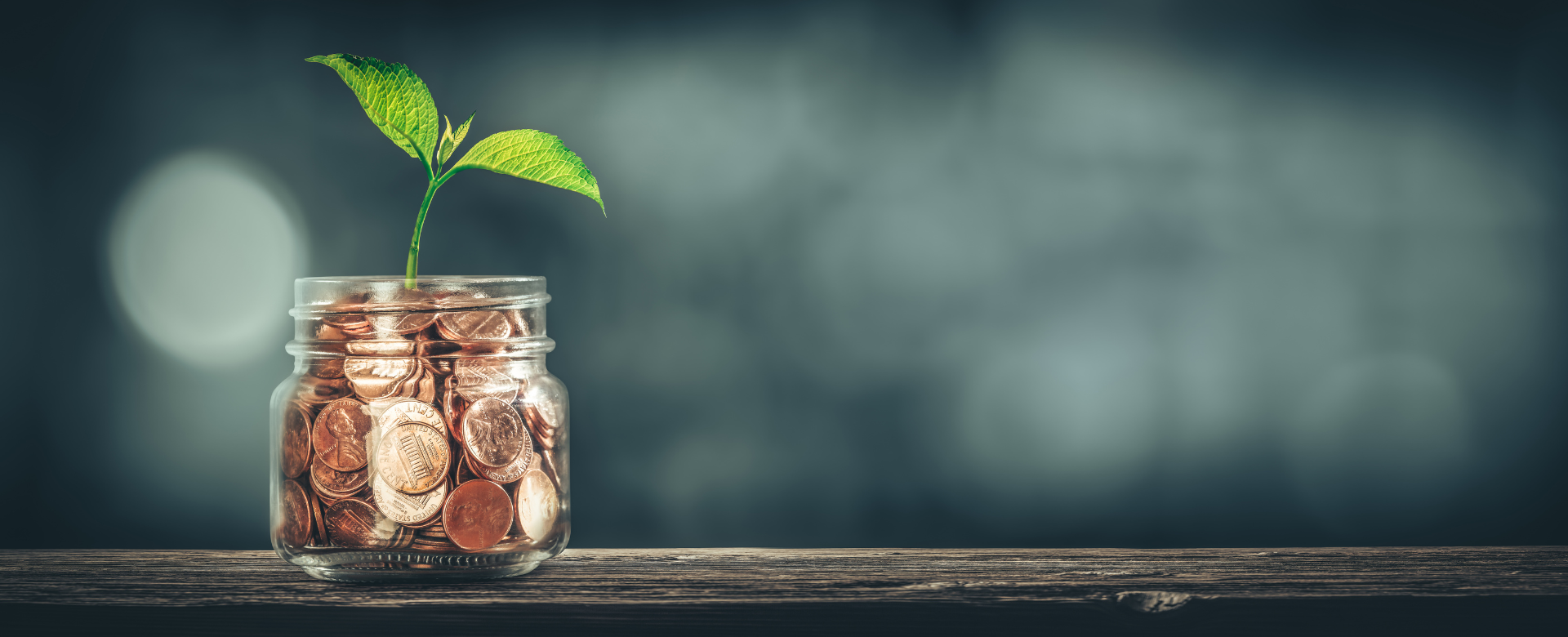 Standard Chartered Bank and USI